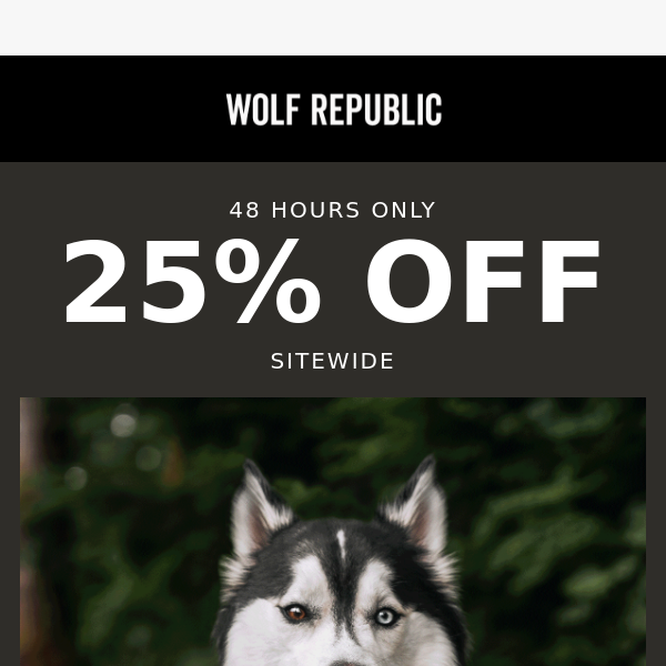 25% OFF SITEWIDE (Yes... Everything!)