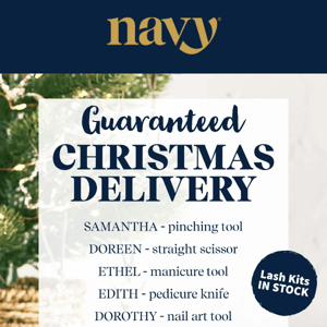 ALERT ALERT ALERT - Guaranteed Christmas Delivery On Almost Every Tool   ⭐️