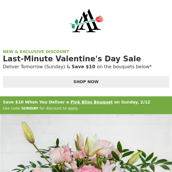 Exclusive Discount: Valentine's Day Flash Sale! 🎉