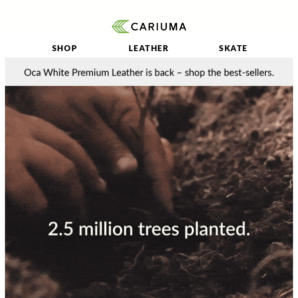 2.5 Million Trees Planted