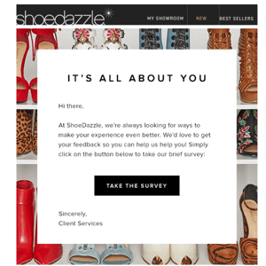 ShoeDazzle, You've Been Selected!