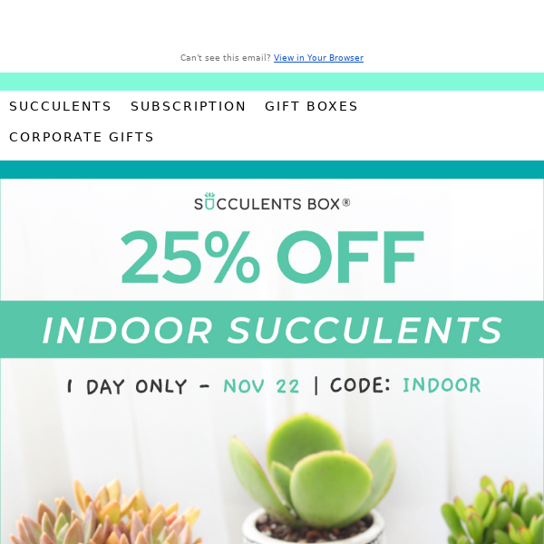 25% Off Indoor Succulents - One Day Offer