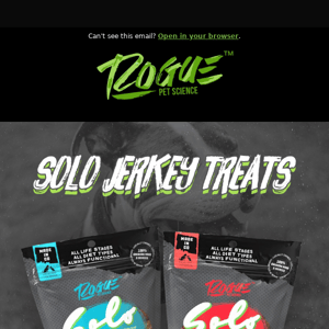 🔥Just Dropped: Solo Treats! 🔥