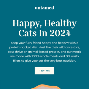 Give your cat only the best this year