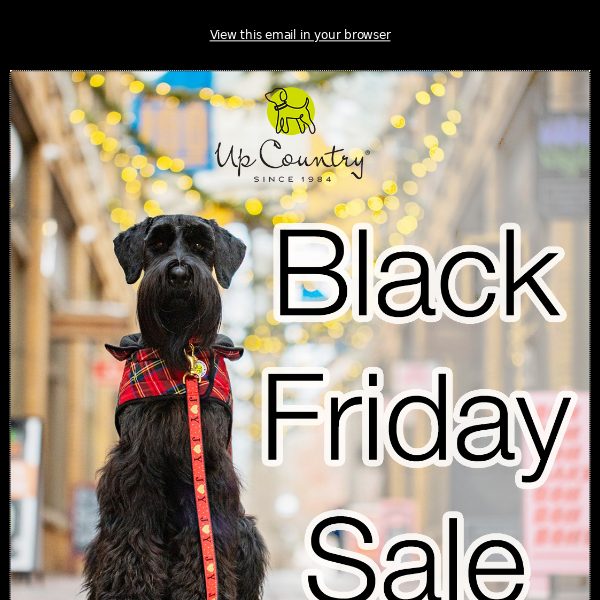 Black Friday Sale!! 🐾🎁