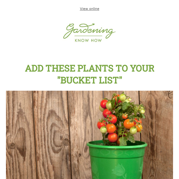 Grow Vegetables in 5-Gallon Buckets + Bulbs Sprouting Early?