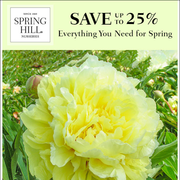 Save Up to 25% On Everything for Spring