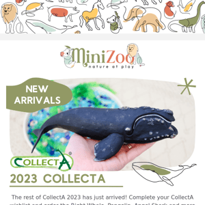 NEW CollectA 2023 Now Available 🐋