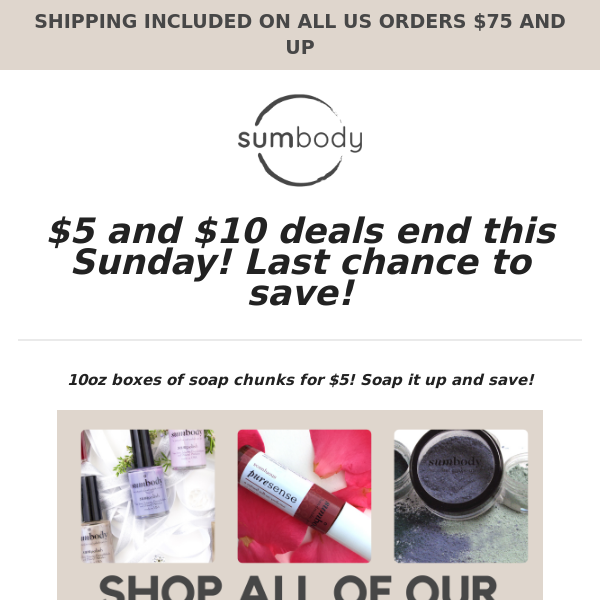 LAST CHANCE! $5 and $10 deals ends SUNDAY