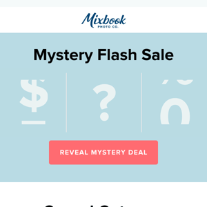 Your mystery flash sale is HERE!