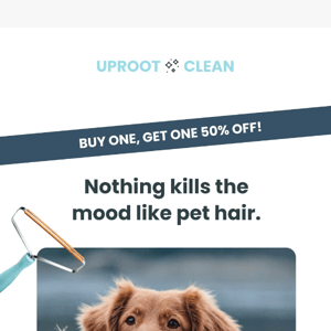 Pet hair—mood killer #1