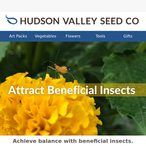 Attract beneficial insects for a healthier garden.