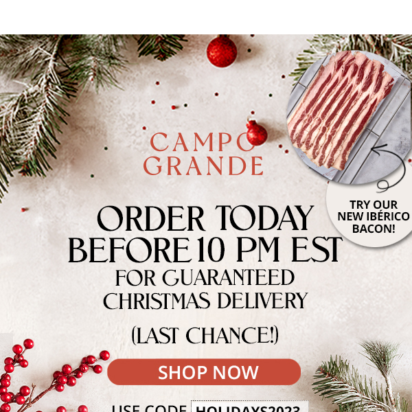 Order TODAY before 10 PM EST for guaranteed Christmas delivery!