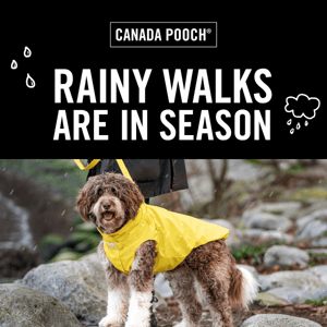 Keep your pup dry this spring!