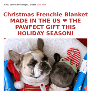 Christmas Frenchie Blanket MADE IN THE US ❤️