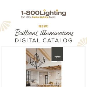 Illuminate Your Day ✨ Explore our NEW Catalog!