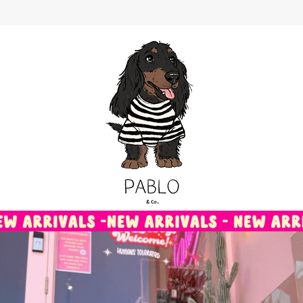 ✨🐩 NEW ARRIVALS YOUR DOG NEEDS!✨