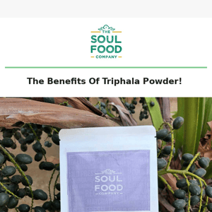 Have You Tried Triphala Powder As Yet?