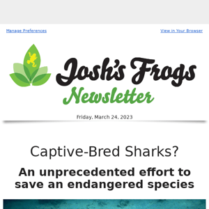 Captive-bred SHARKS?