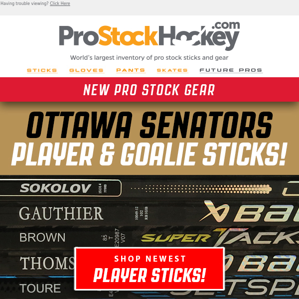 New Ottawa Senators Player & Goalie Sticks!
