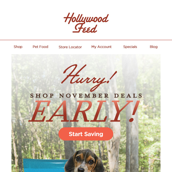 Hurry Hollywood Feed! Shop November Deals Early! 🦃
