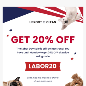 Hey, want 20% off?