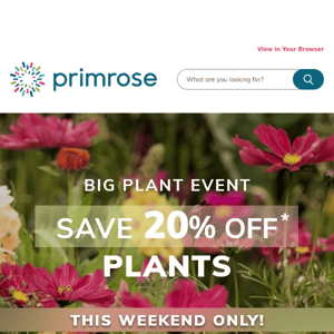 Big Plant Event: SAVE 20%