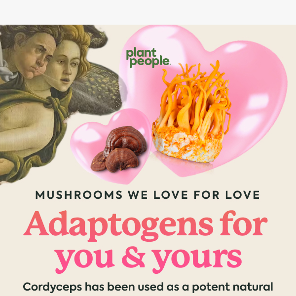 Mushrooms we LOVE for Love 😍