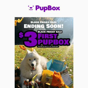 ⚠️ Calling up Pups! LAST CHANCE $3 PupBox! 🖤