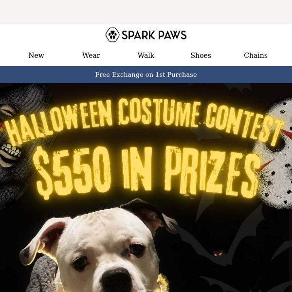 Halloween Dog Costume Contest 🎃 $550 in Prizes