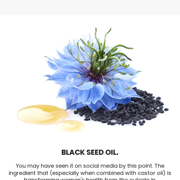 🖤THIS Seed Oil Craze.