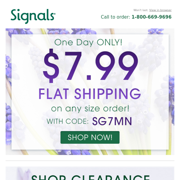 Flat Ship SALE: One Day ONLY