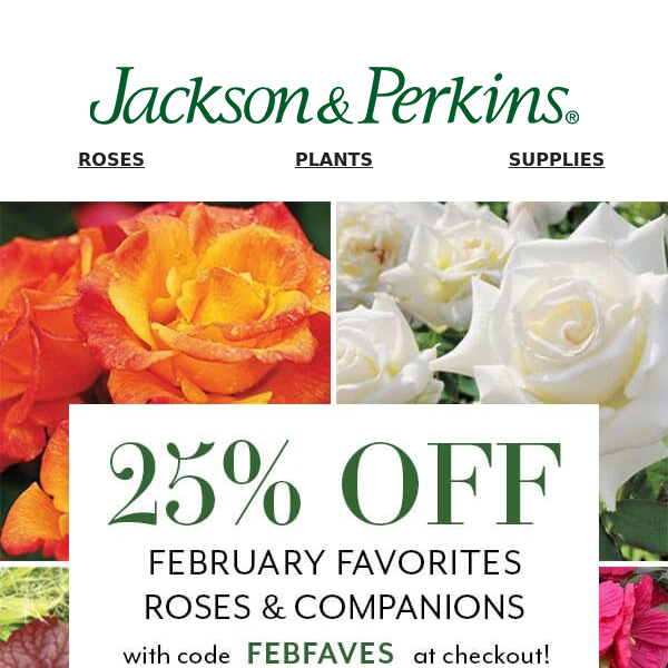 25% OFF Our Favorite Roses & Companions