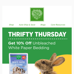 Hop To This Bedding Deal 🐇