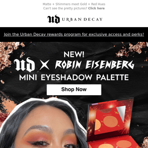 Inside our NEW Palette! UD x Robin Eisenberg Mini Eyeshadow Palette