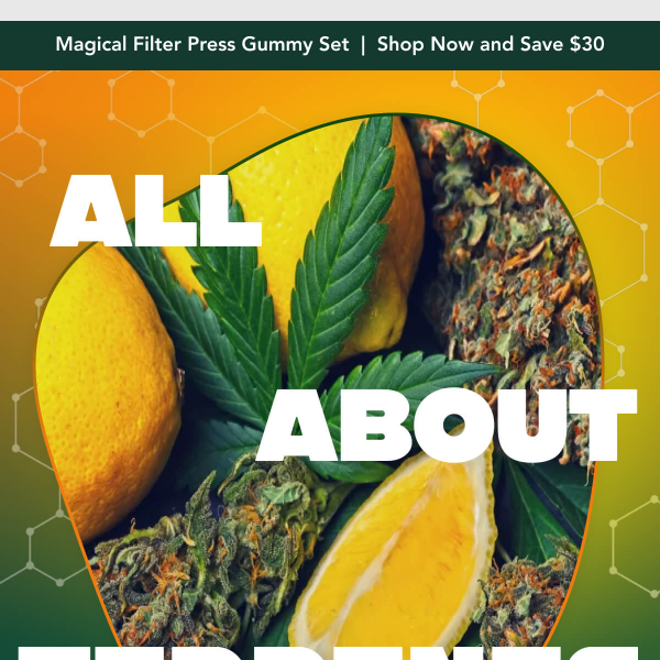 The Magic of Terpenes 🌲🍋✨ - Magical Butter