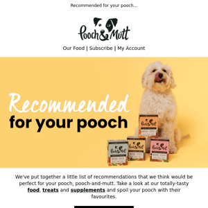 Our recommendations for your pooch  🐾