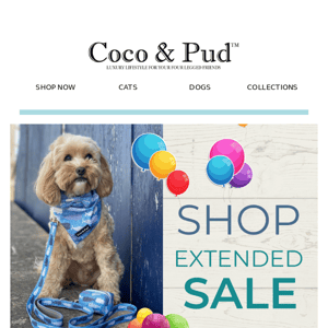 🐶💝MAJOR RESTOCK! Designer Pet Bowls & Placemats🎁 - Coco & Pud