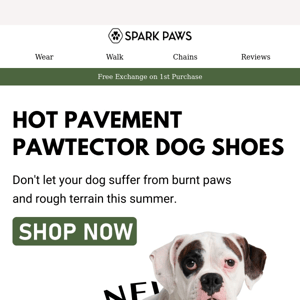 NEW: Hot Pavement Pawtector Dog Shoe 🔥