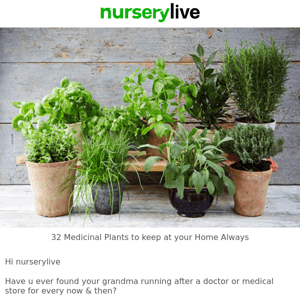 🌻 32 Medicinal Plants to Keep at your Home Always, Nurserylive