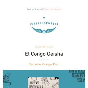 NEW Special Selection | Costa Rica El Congo Geisha