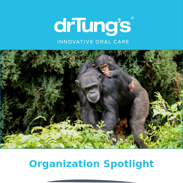 Organization Spotlight—Jane Goodall Institute