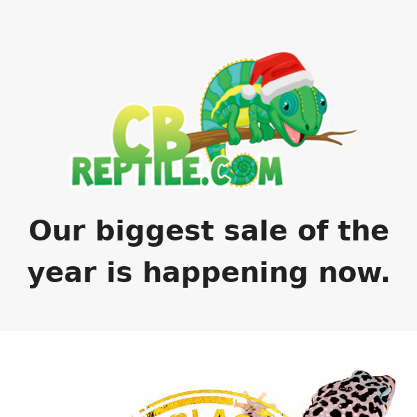 22% OFF All Reptiles and Supplies for Black Friday weekend!