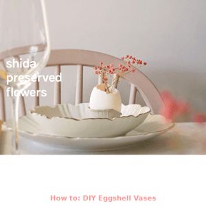 The Conversation | DIY Egg Shell Vases 🥚