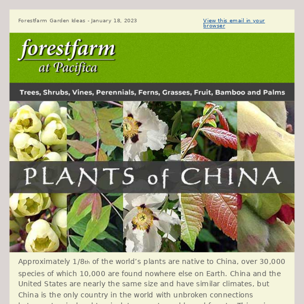 Plants of China 🐼