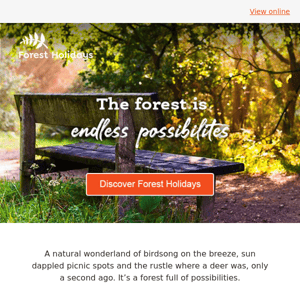 🍃 Forest Holiday, stay in touch. Join our adventure.