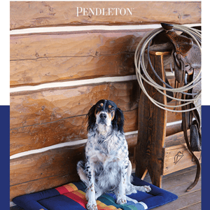 Pendleton pet