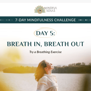 😌 DAY 5: Breath In, Breath Out!