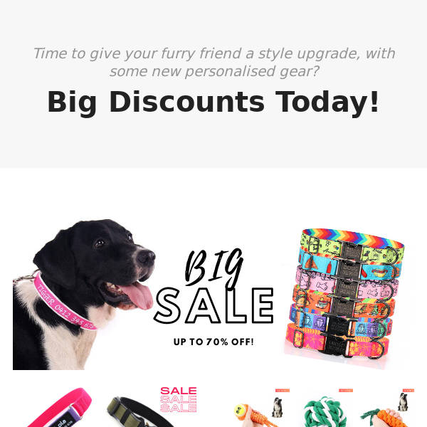 Big Savings ... ❤️ 🐶