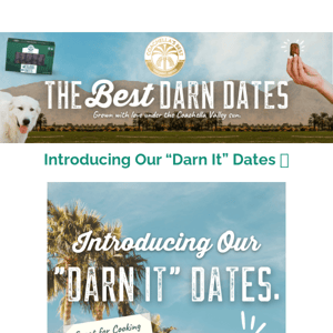 New: "Darn It" Cooking Dates Are Here ✨